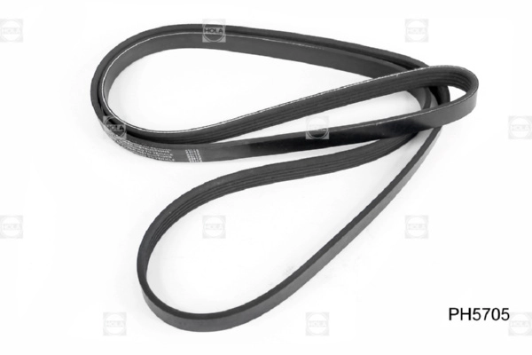HOLA PH5705 - Ремень генератора