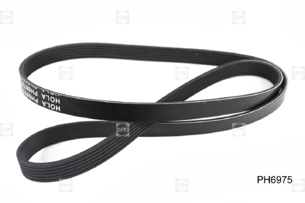 HOLA PH6975 - Ремень генератора