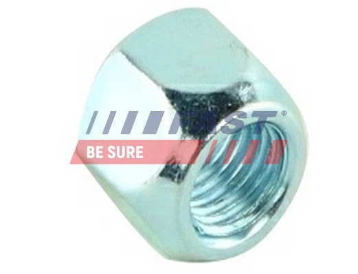 FAST FT21516 - Колесная гайка