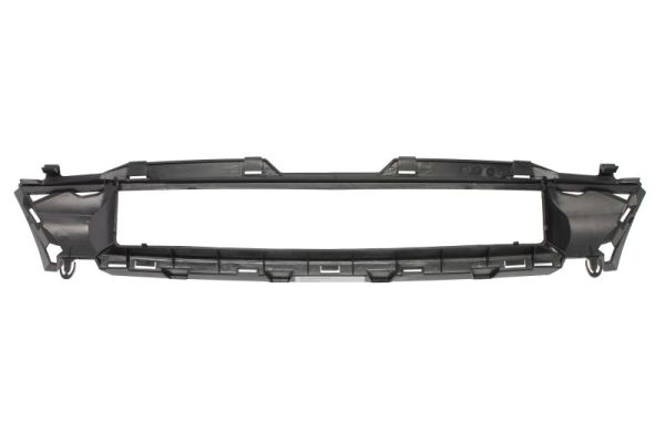 BLIC 5601-00-2563990P - Решетка радиатора