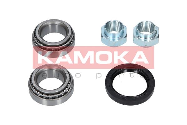 KAMOKA 5600010 - Комплект подшипника ступицы колеса KAMOKA