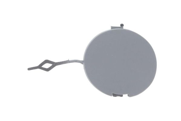 Заглушка крюка