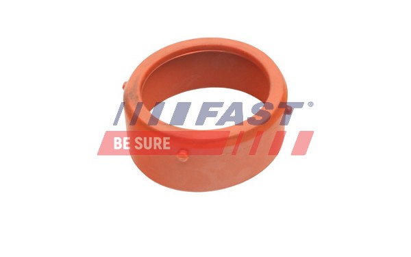 FAST FT48813 - Прокладка турбины