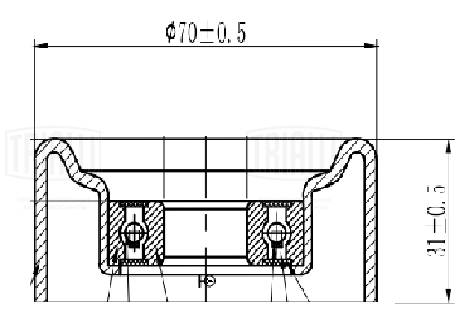 TRIALLI CM 5846 - Натяжитель ремня генератора