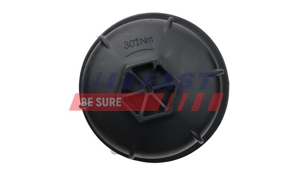 FAST FT55423 - Масляный радиатор