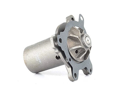 BSG BSG 60-500-003 - Водяной насос - помпа