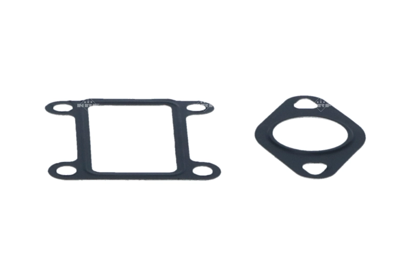 NRF 48326 - Клапан ЕГР