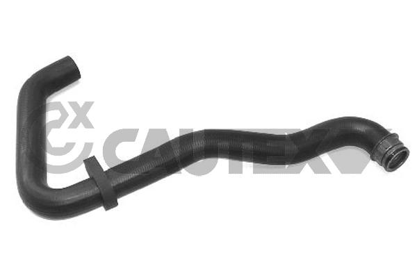 CAUTEX 031068 - Патрубки системы охлаждения