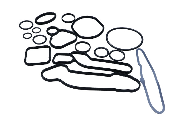 MAXGEAR 70-0129 - Прокладка масляного радиатора