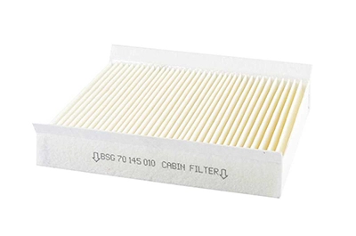 BSG BSG 70-145-010 - Салонный фильтр