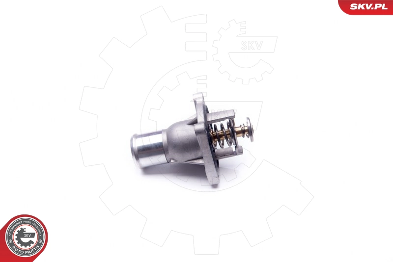 ESEN SKV 20SKV081 - Термостат