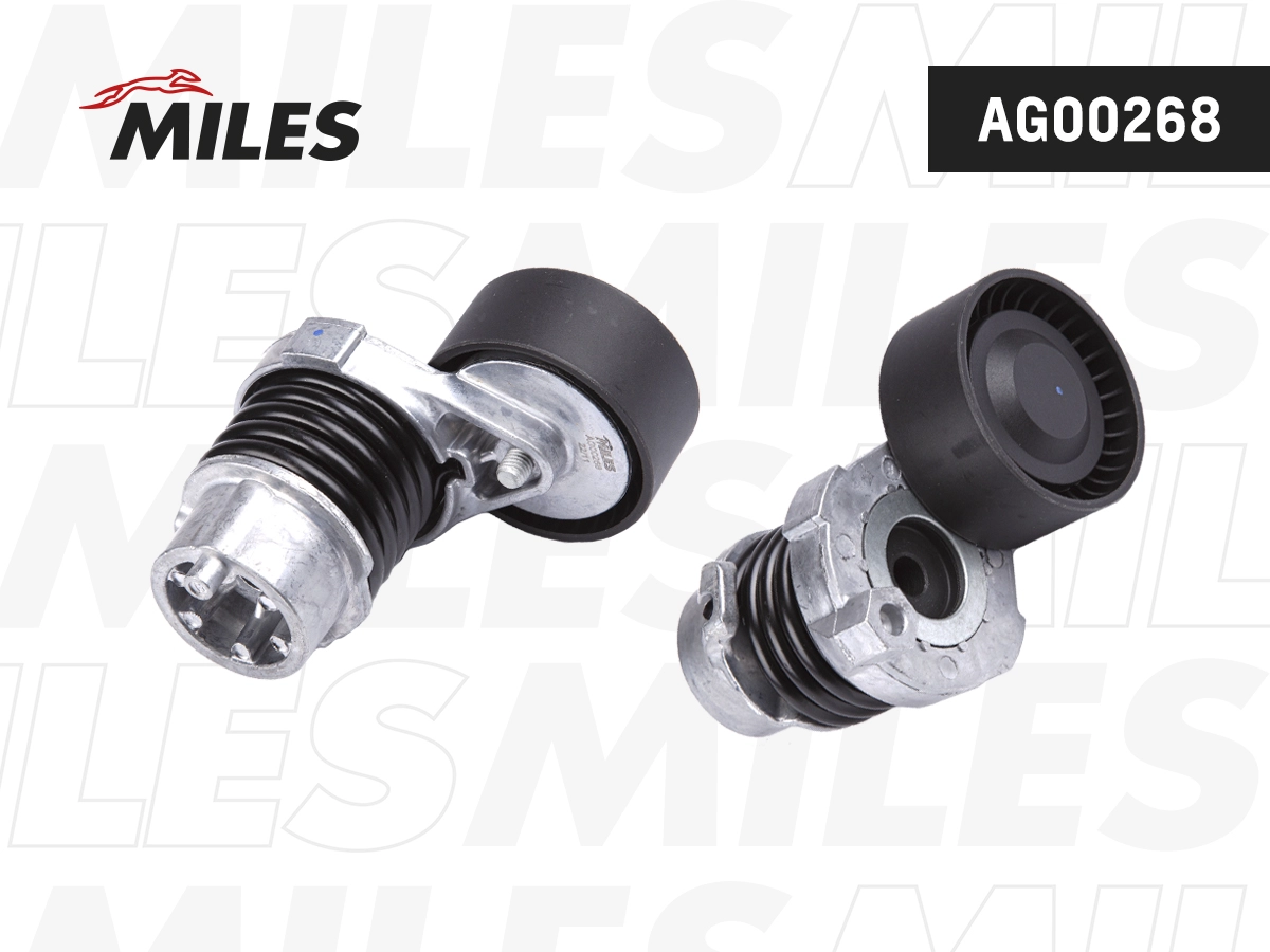 Натяжитель ремня генератора