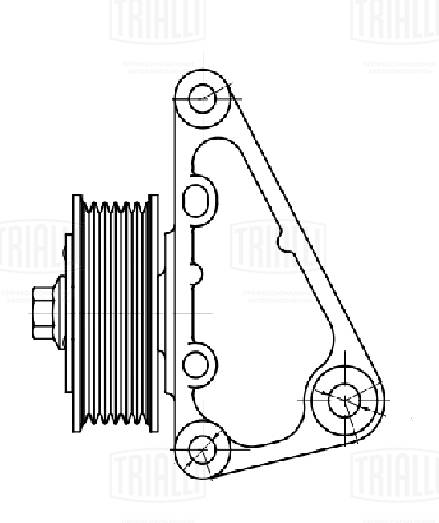 TRIALLI CM 5625 - Ролик обводной приводного ремня