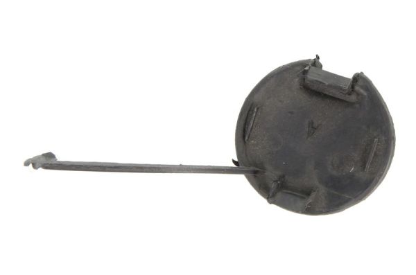 BLIC 5513-00-2031920P - Заглушка крюка