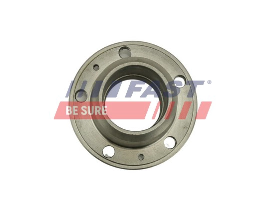 FAST FT24060 - Ступица колеса