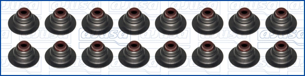 AJUSA 57022800 - Маслосъемные колпачки