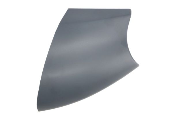 Корпус наружного зеркала