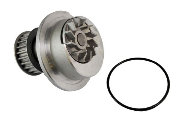 THERMOTEC D1X024TT - Водяной насос - помпа