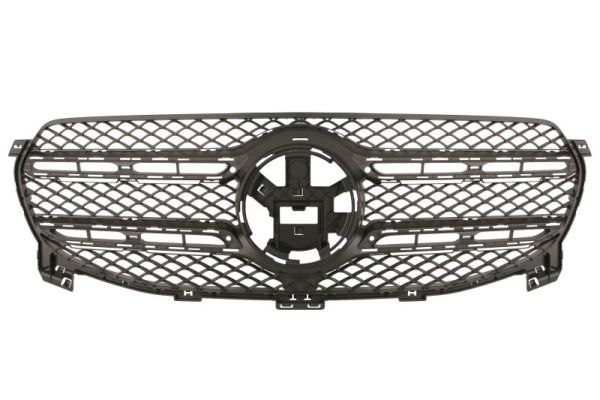 BLIC 6502-07-3501990P - Решетка радиатора