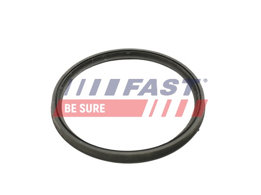 FAST FT49922 - Уплотнительное кольцо патрубка интеркулера