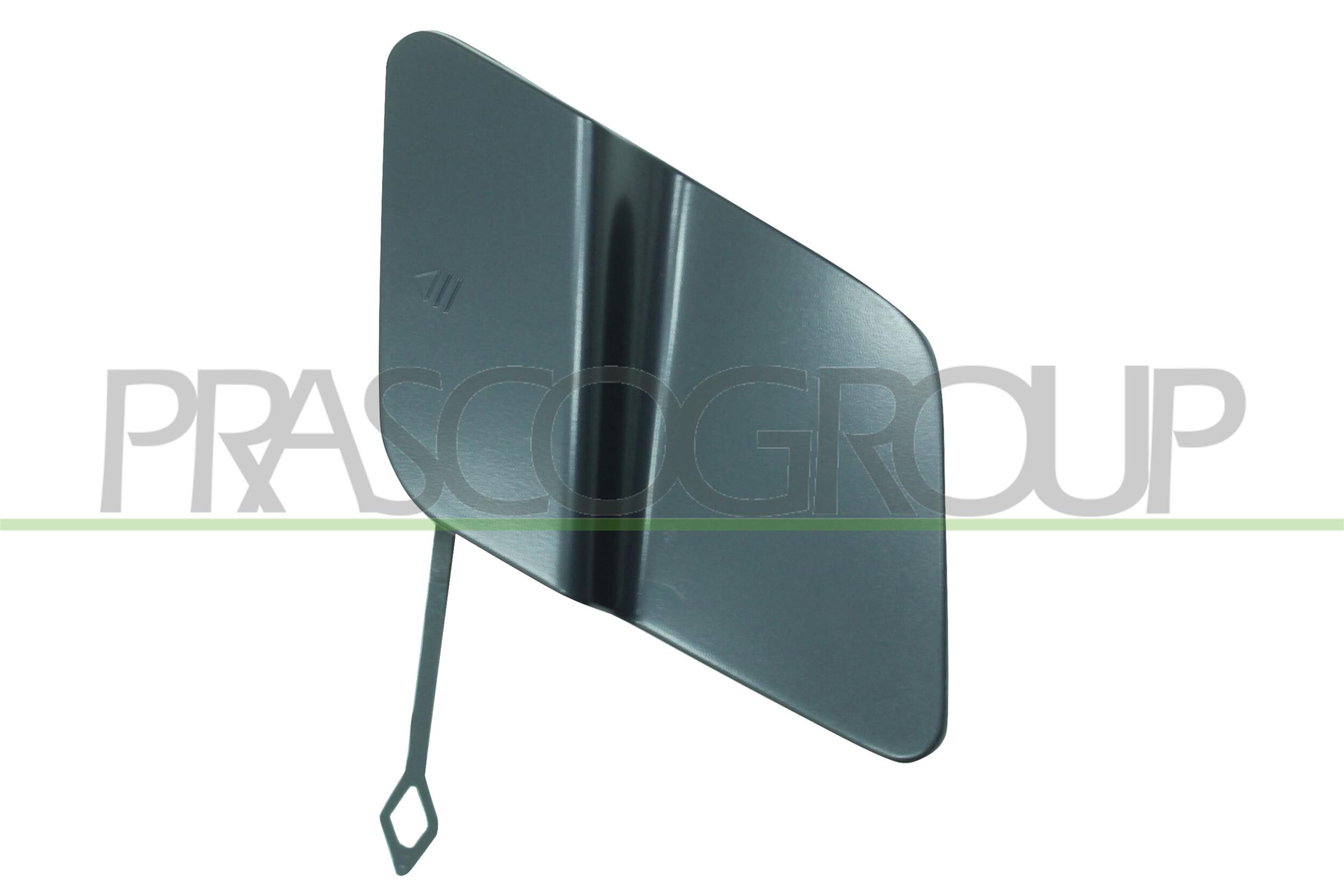 Заглушка крюка