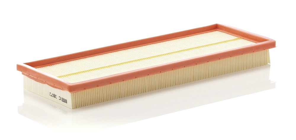 MANN-FILTER C 3873 - Воздушный фильтр