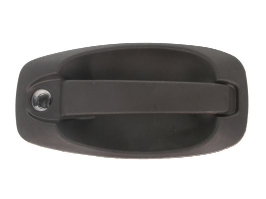 Ручка двери