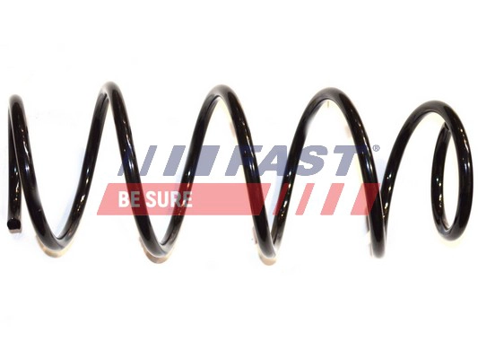 FAST FT12203 - Пружины 