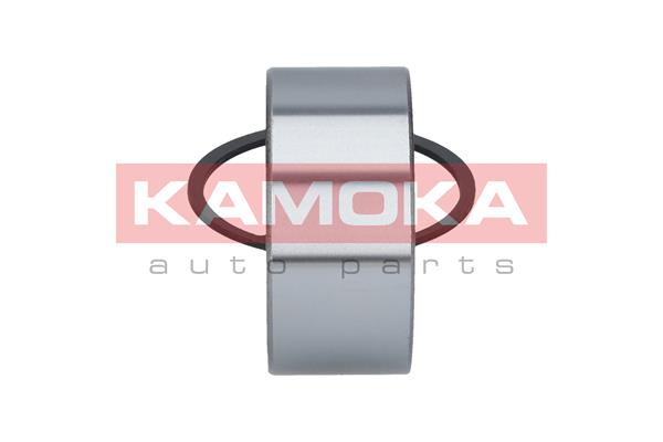 KAMOKA 5600094 - Комплект подшипника ступицы колеса KAMOKA
