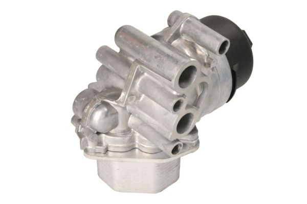 THERMOTEC D4G017TT - Масляный радиатор