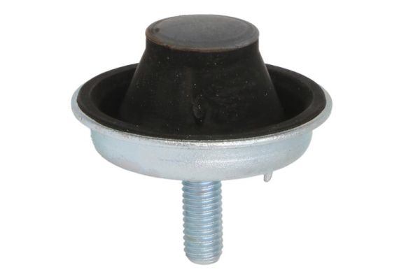 REINHOCH RH11-2059 - Опора двигателя