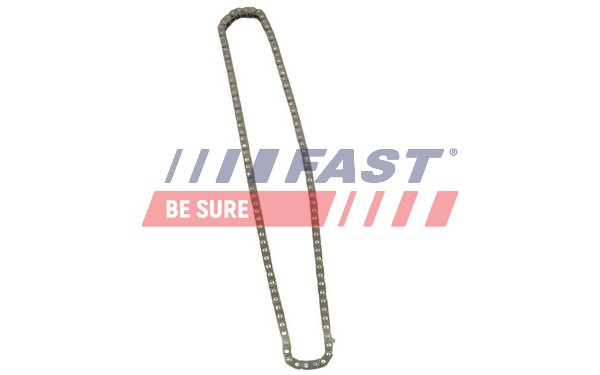 FAST FT41808 - Цепь ГРМ