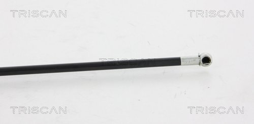 TRISCAN 8710 15101 - Амортизатор капота