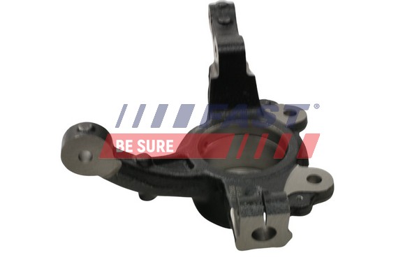 FAST FT13565 - Кулак поворотный