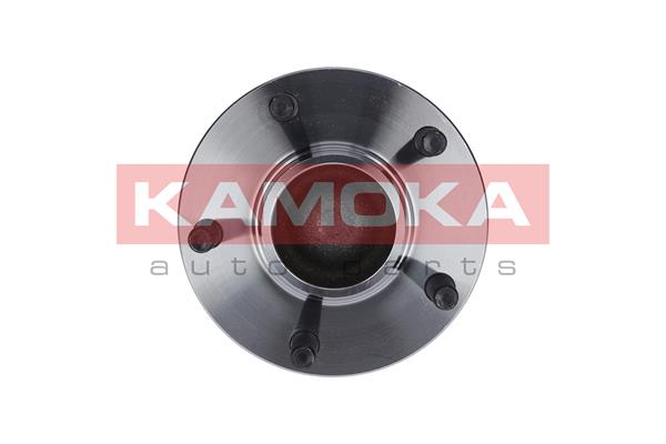 KAMOKA 5500098 - Комплект подшипника ступицы колеса KAMOKA