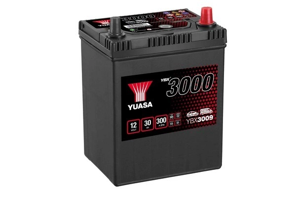 Стартерная аккумуляторная батарея YBX3000 SMF Batteries