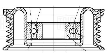 TRIALLI CM 5811 - Натяжитель ремня генератора