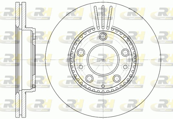ROADHOUSE 6673.10 - Тормозные диски
