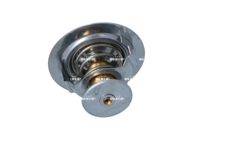 NRF 725303 - Термостат