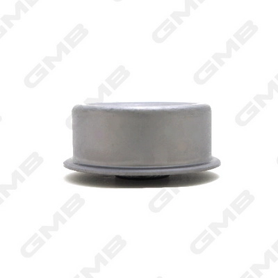 GMB GT60790 - Натяжной ролик ГРМ