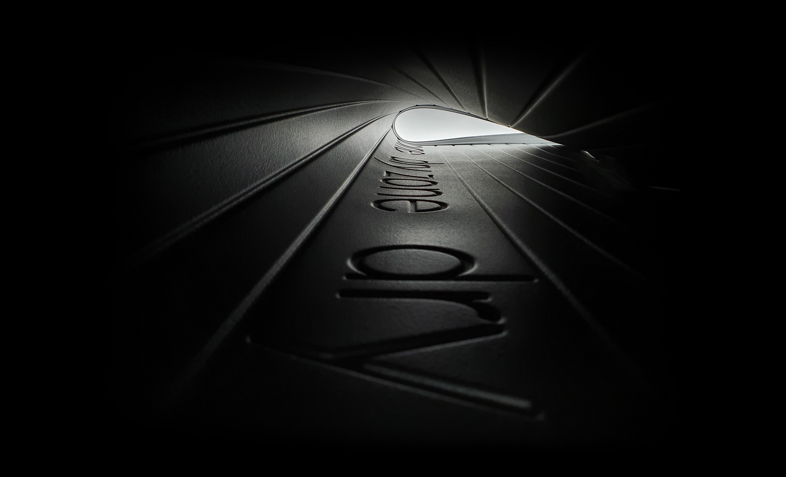 FROGUM DZ548539 - Ванночка для багажника DRYZONE