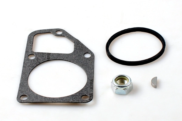 HEPU P218 - Водяной насос - помпа