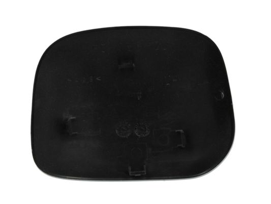 BLIC 6103-01-1321972P - Корпус наружного зеркала