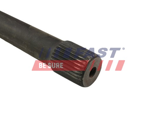 FAST FT13601 - Пружины 