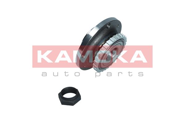 KAMOKA 5500205 - Комплект подшипника ступицы колеса KAMOKA