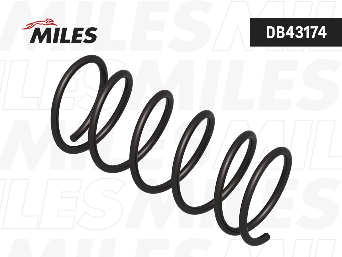 MILES DB43174 - Пружины 