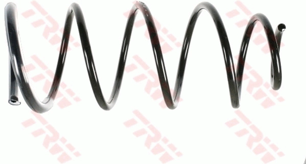 TRW JCS763 - Пружины 