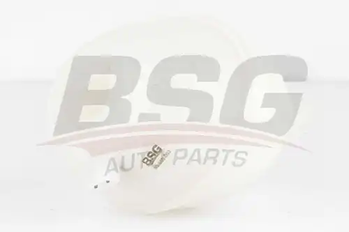 BSG bsg90550002 - BSG 90-550-002_БАЧОК РАСШИРИТЕЛЬНЫЙ