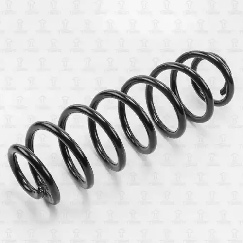 TORR df0100 - пружина задняя