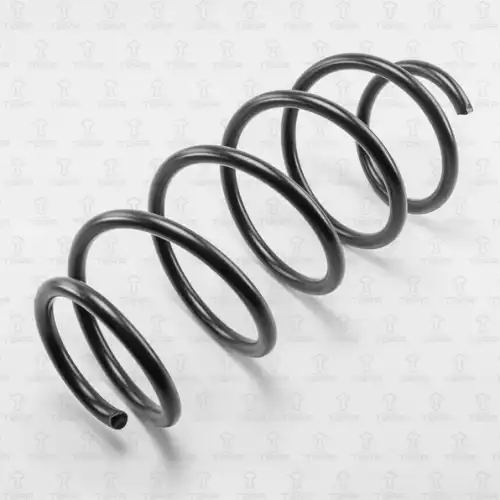 TORR df0104 - пружина передняя